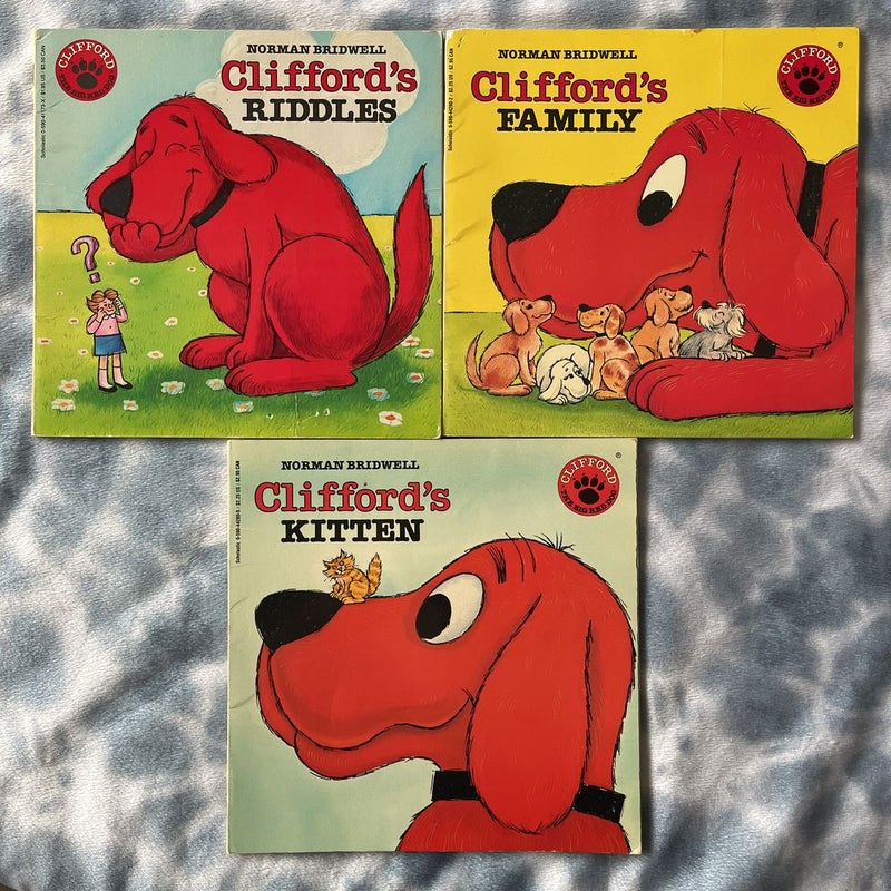 Clifford Bundle 