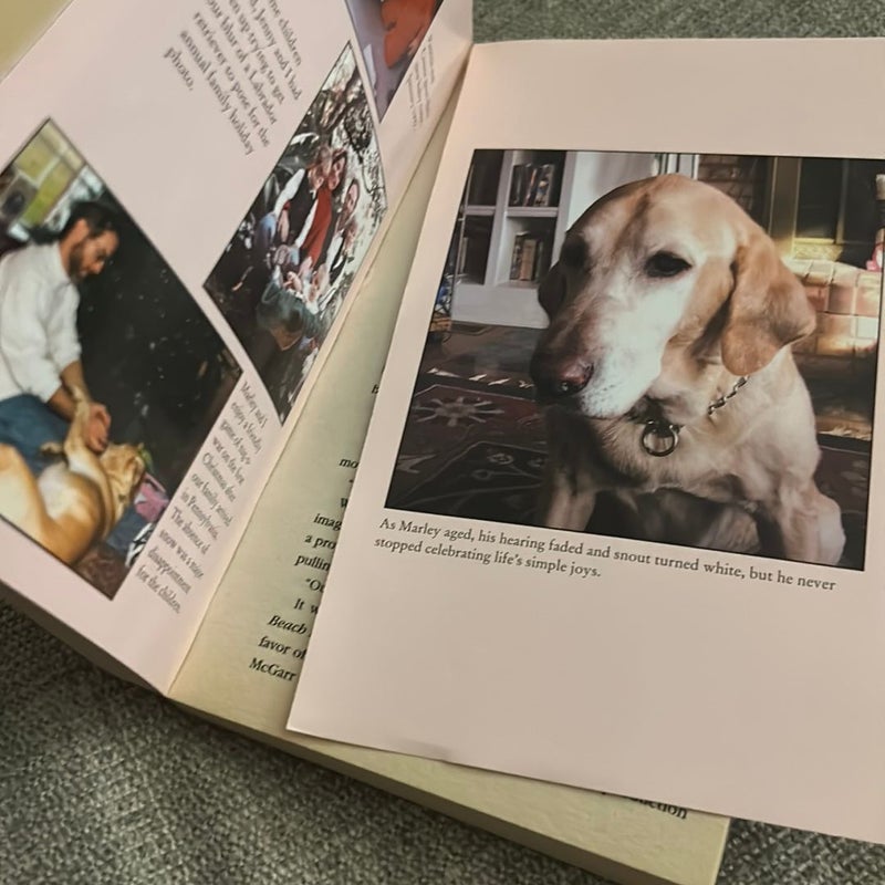 Marley and Me