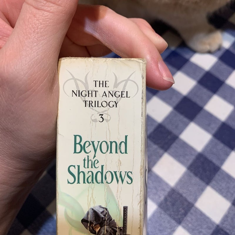 Beyond the Shadows