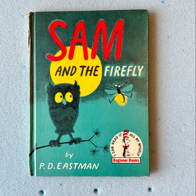 Sam And The Firefly