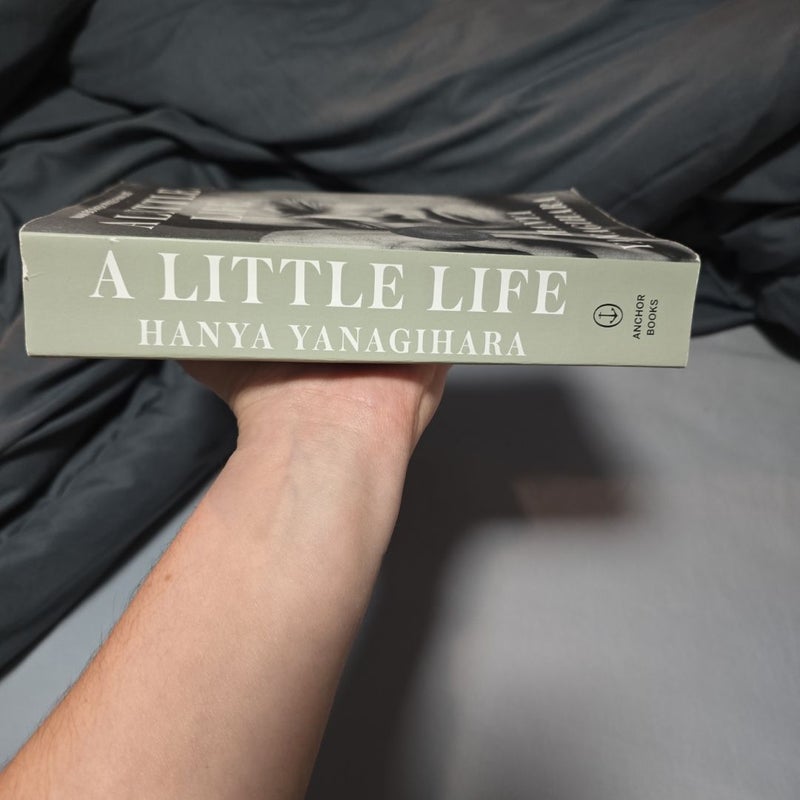 A Little Life