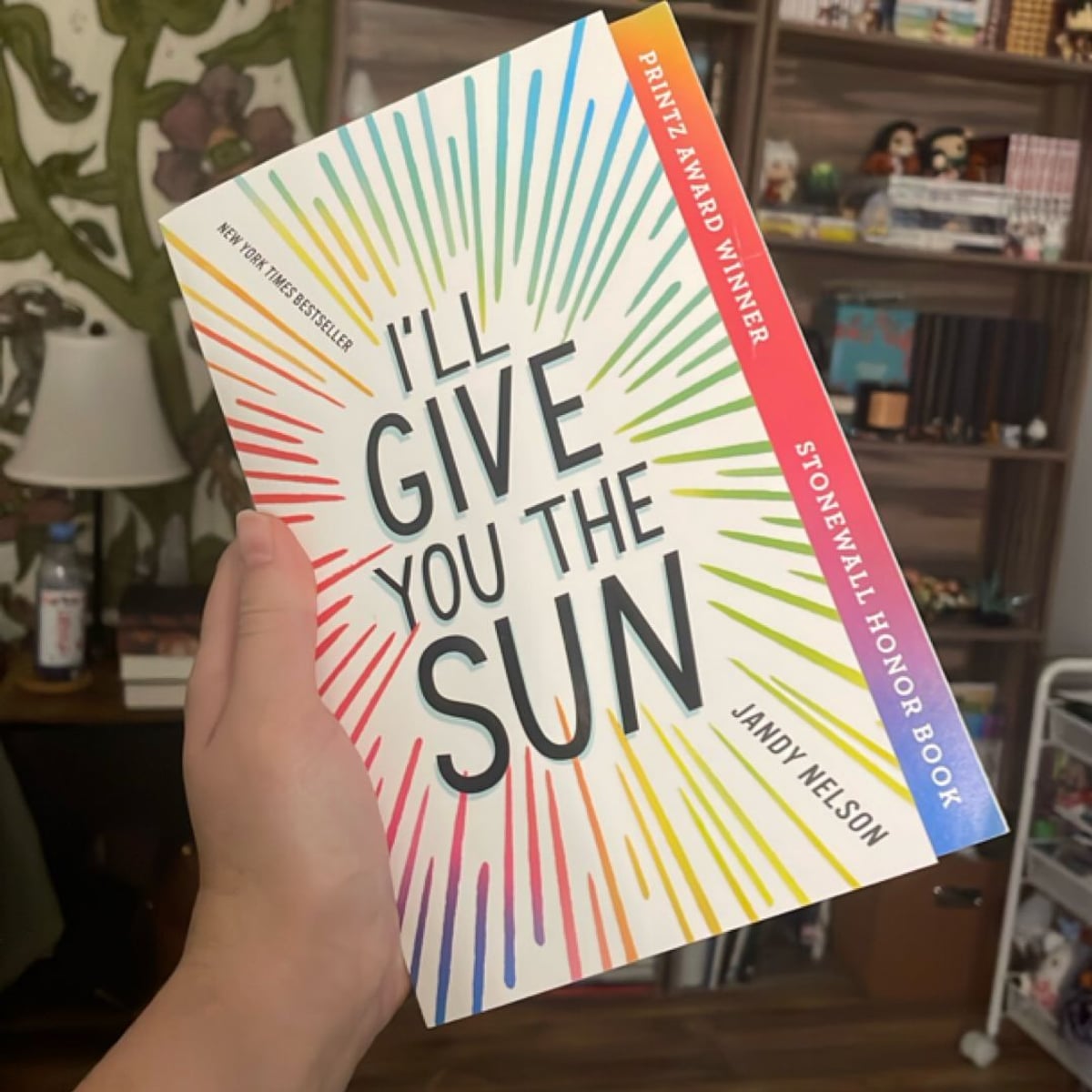 I'll Give You the Sun by Jandy Nelson