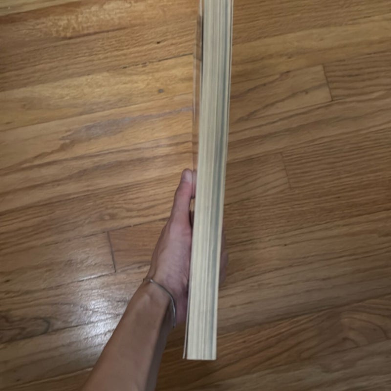 Y the Last Man Book Three
