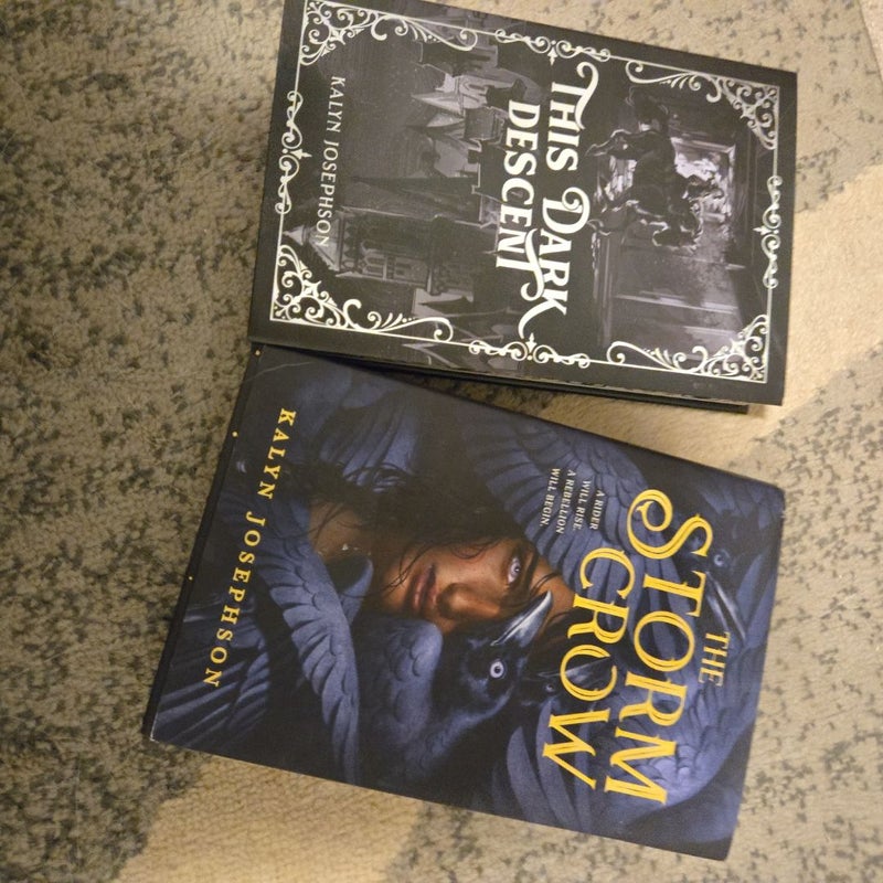 Signed bookish box young adult fantasy this dark descent the storm crow