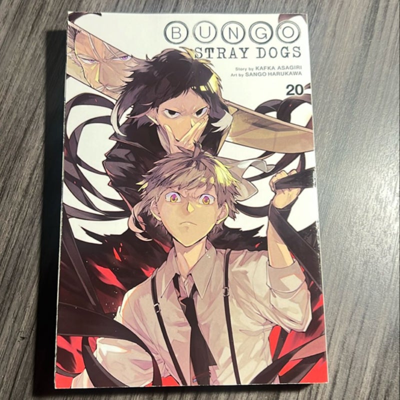 Bungo Stray Dogs, Vol. 20