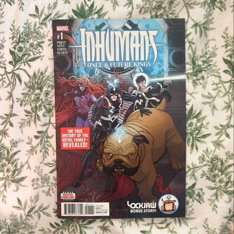 Inhumans Once and Future Kings