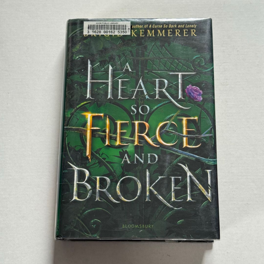 A Heart So Fierce and Broken