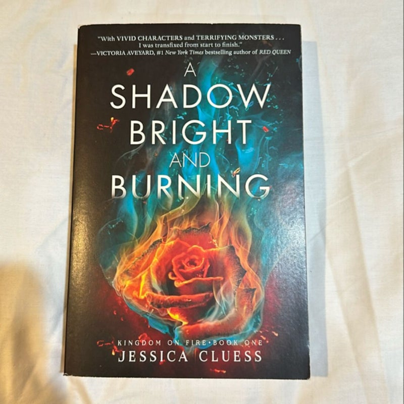 A Shadow Bright and Burning (Kingdom on Fire, Book One)