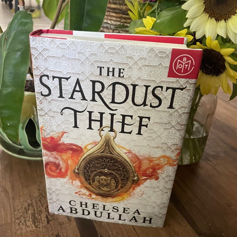 The Stardust Thief