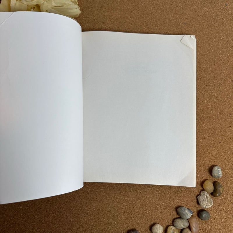 Assertive Discipline for Parents, Revised Edition