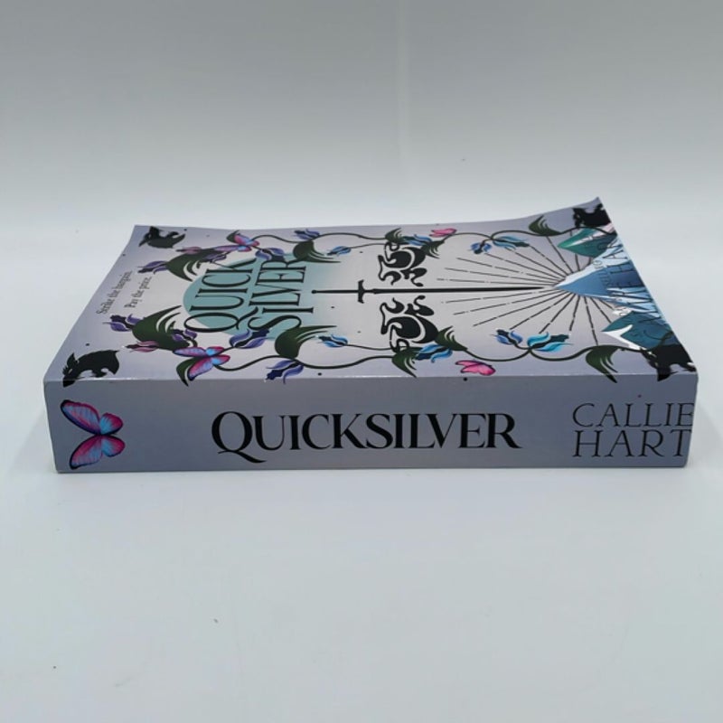 Quicksilver - OOP Discreet Indie Cover