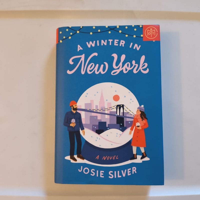 A Winter in New York