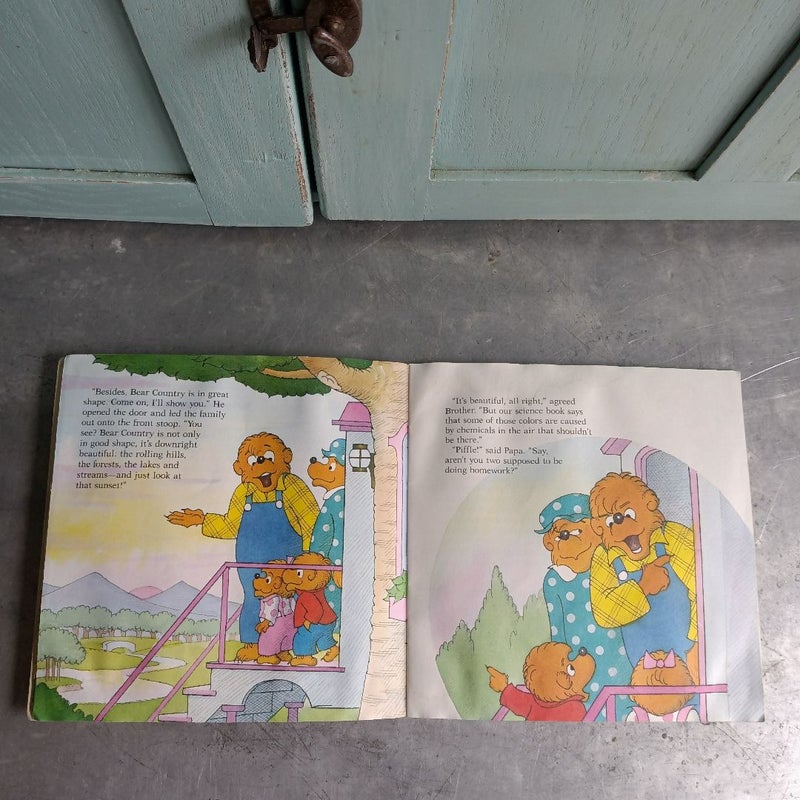 The Berenstain Bears Don't Pollute (Anymore)