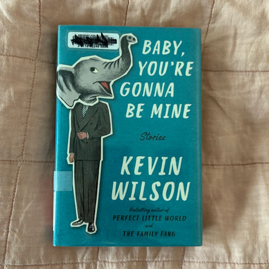 Baby, You're Gonna Be Mine