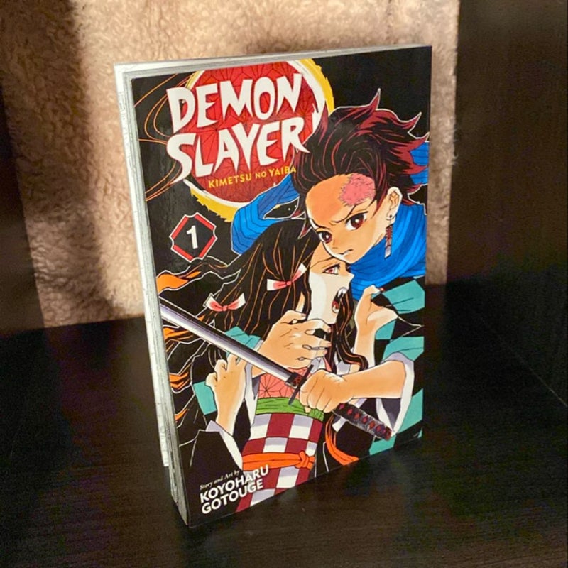 Demon Slayer: Kimetsu No Yaiba, Vol. 1