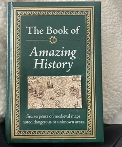 The Book of Amazing History