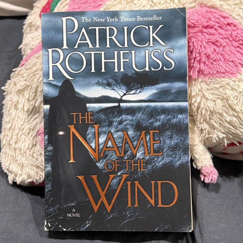 The Name of the Wind