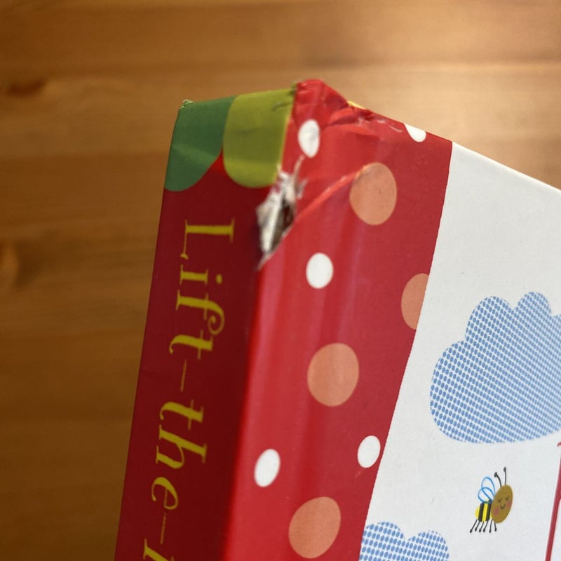 LiftTheFlap First Math by Felicity Brooks, Hardcover Pangobooks