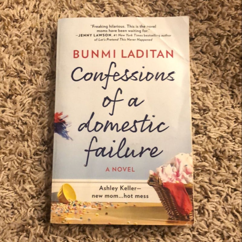 Confessions of a Domestic Failure