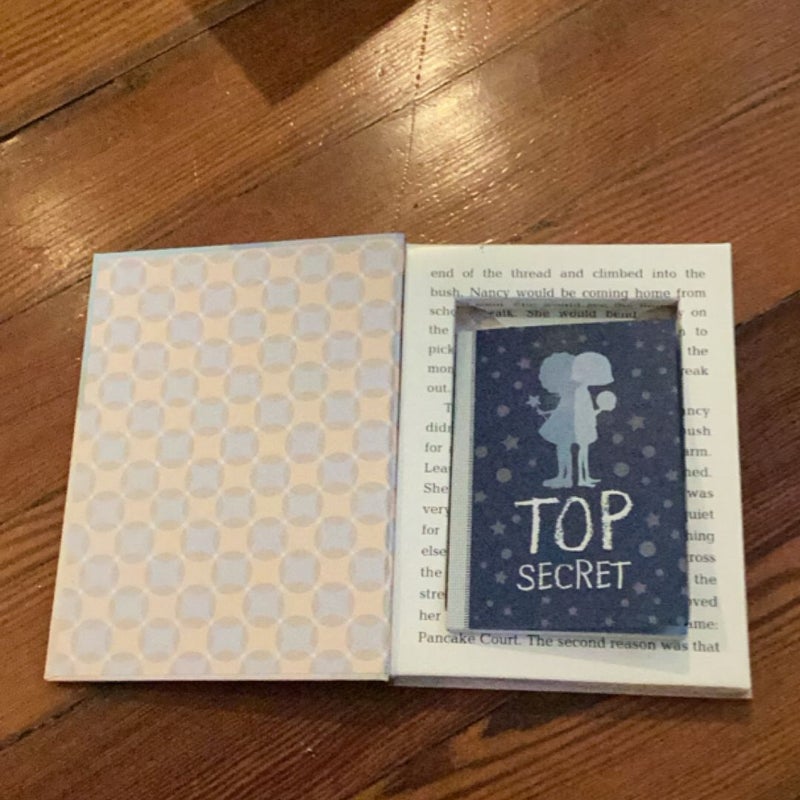 Ivy and Bean Secret Treasure Box (Books 1-3)