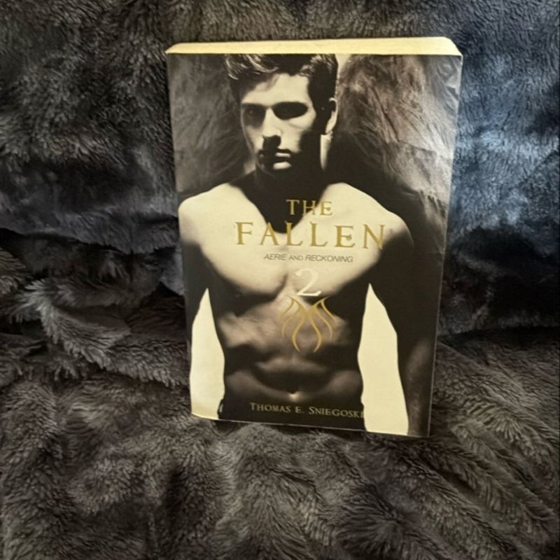 The Fallen 2