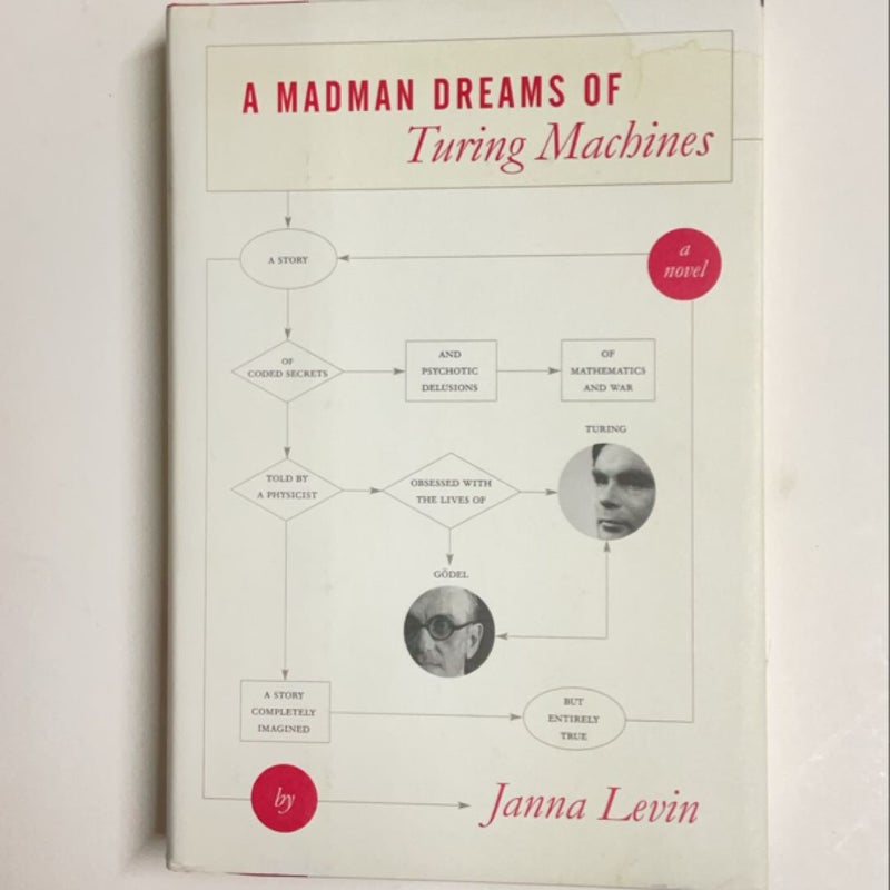 A Madman Dreams of Turing Machines