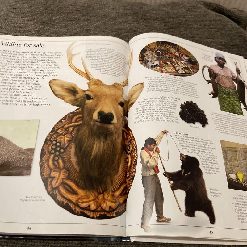 DK Eyewitness Books: Endangered Animals