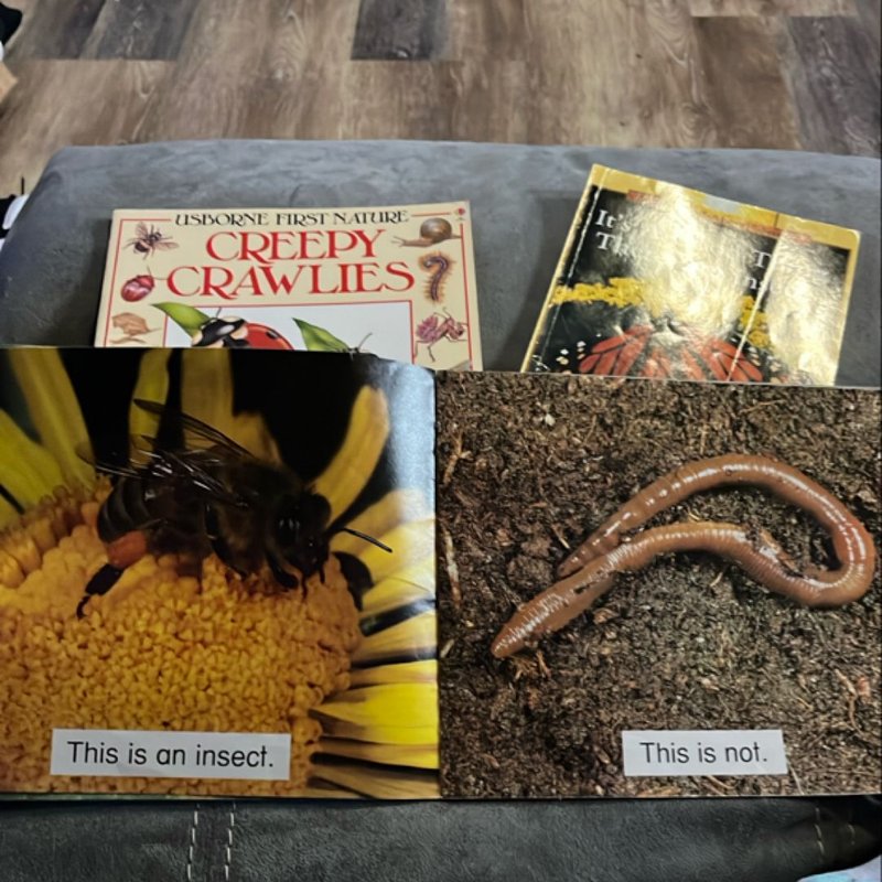 3 for 1: Creepy Crawlies & what is an insect & it’s a good thing there ...
