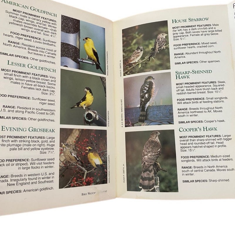 Identification Guide to Common Backyard Birds