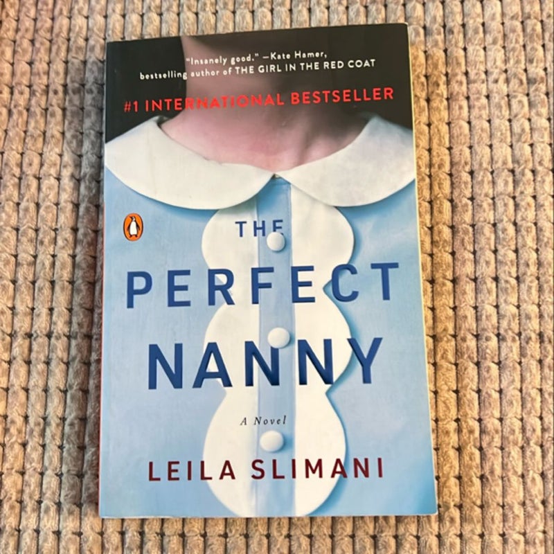 The Perfect Nanny