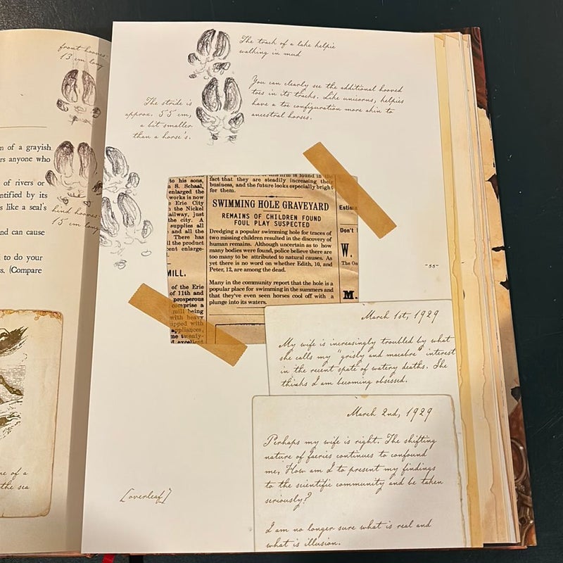 Arthur Spiderwick's Field Guide to the Fantastical World Around You