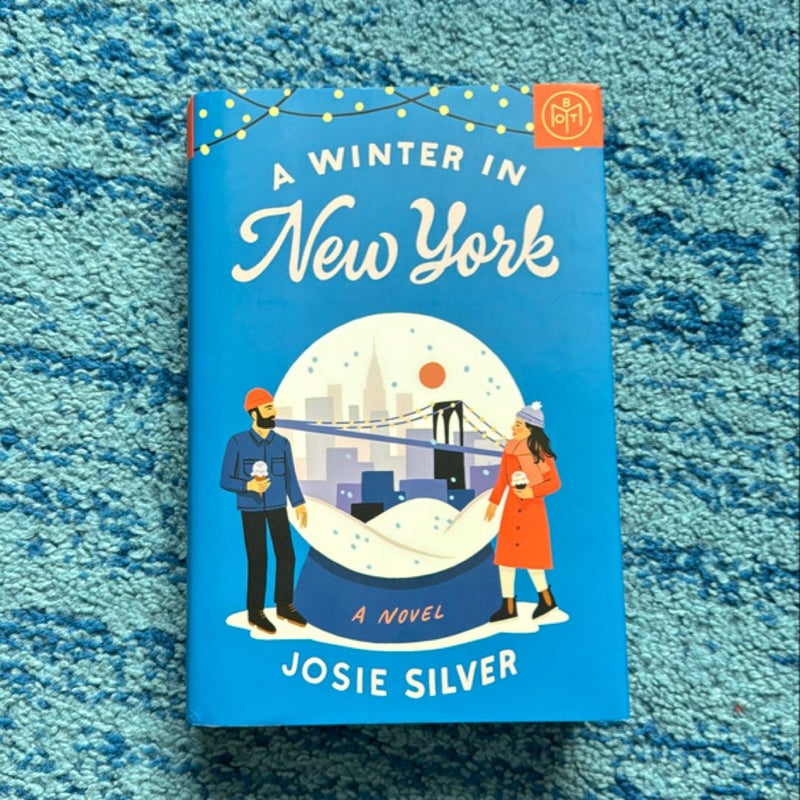 A Winter in New York