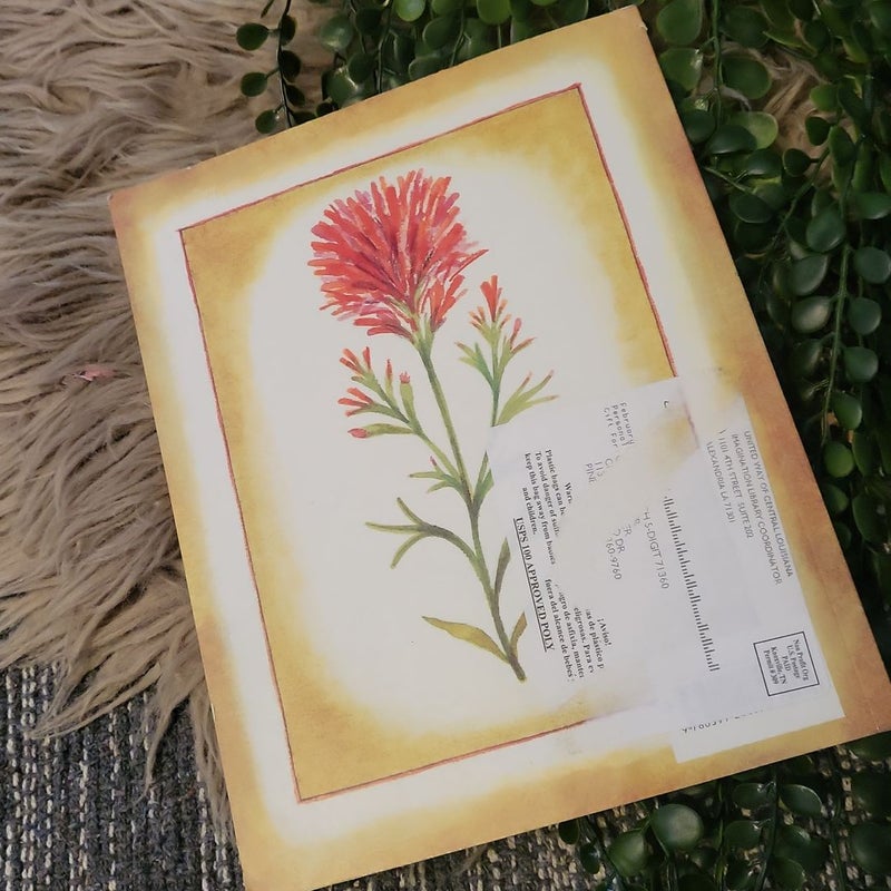 The Legend of the Indian Paintbrush 