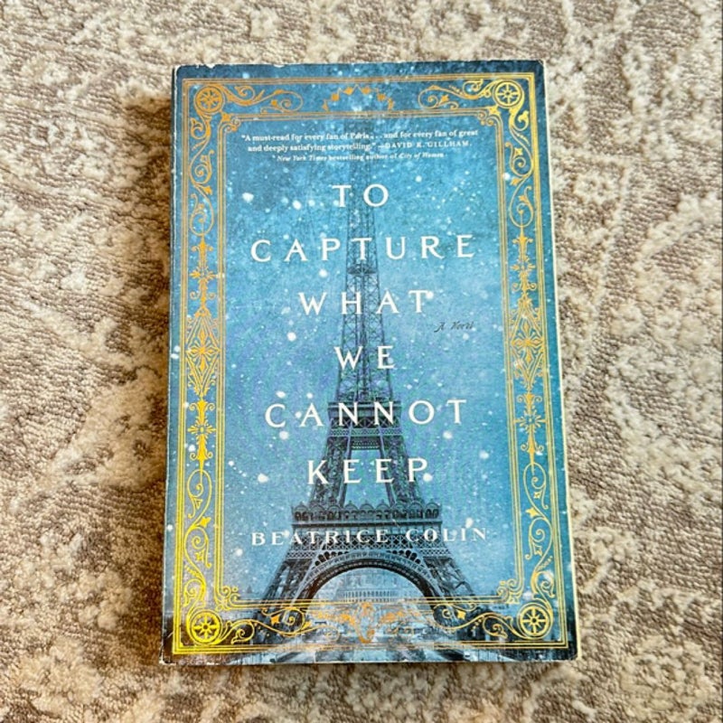 To Capture What We Cannot Keep