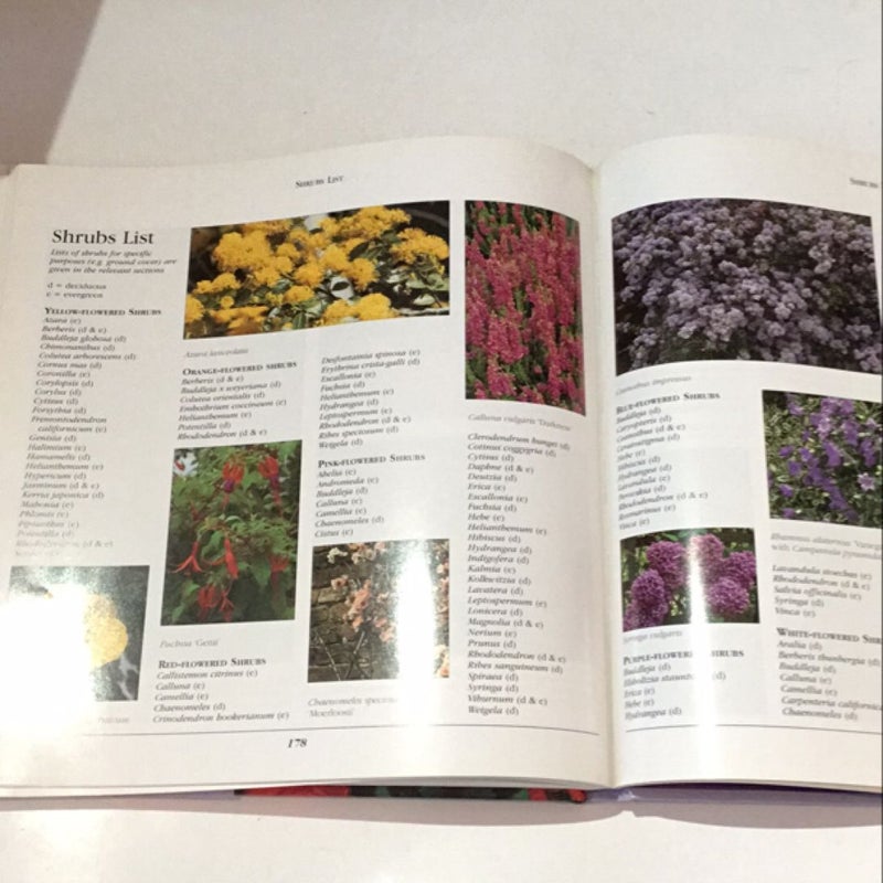 Shrubs and Climbers A complete guide to successful planting and growing 