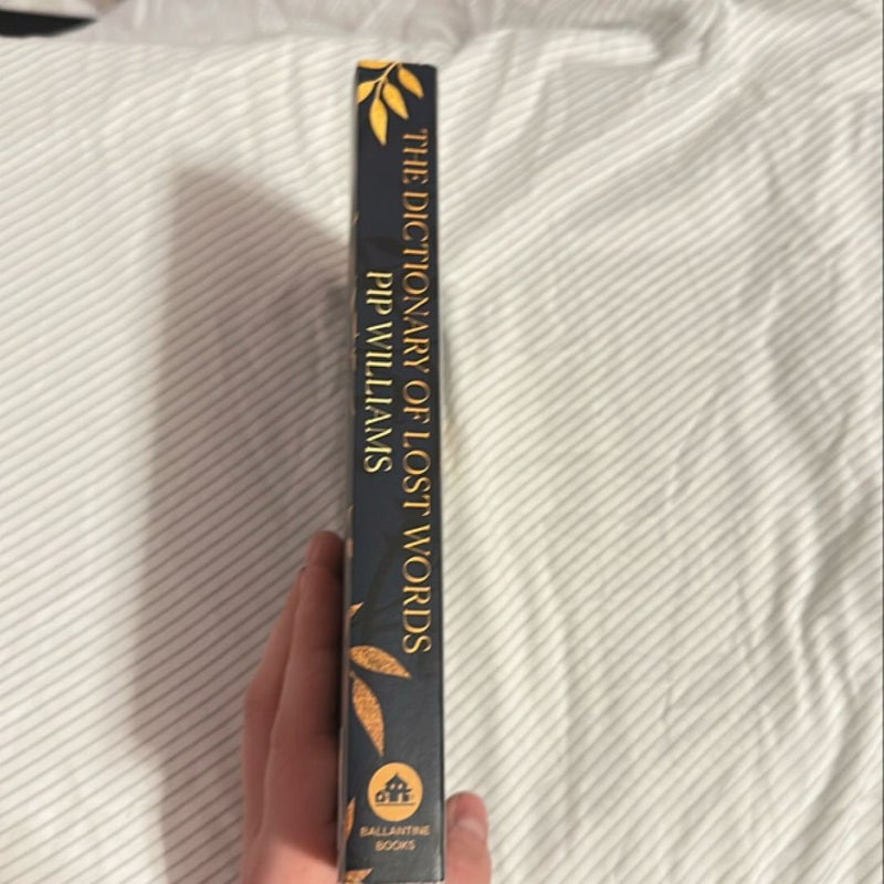 The Dictionary of Lost Words