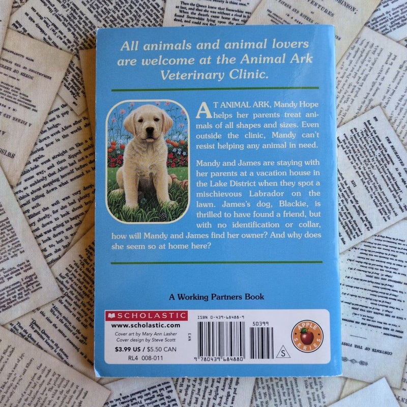 Animal Ark: Labrador on the Lawn