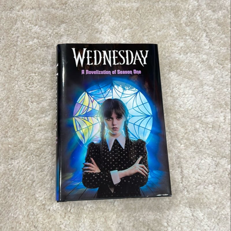 Wednesday: a Novelization of Season One