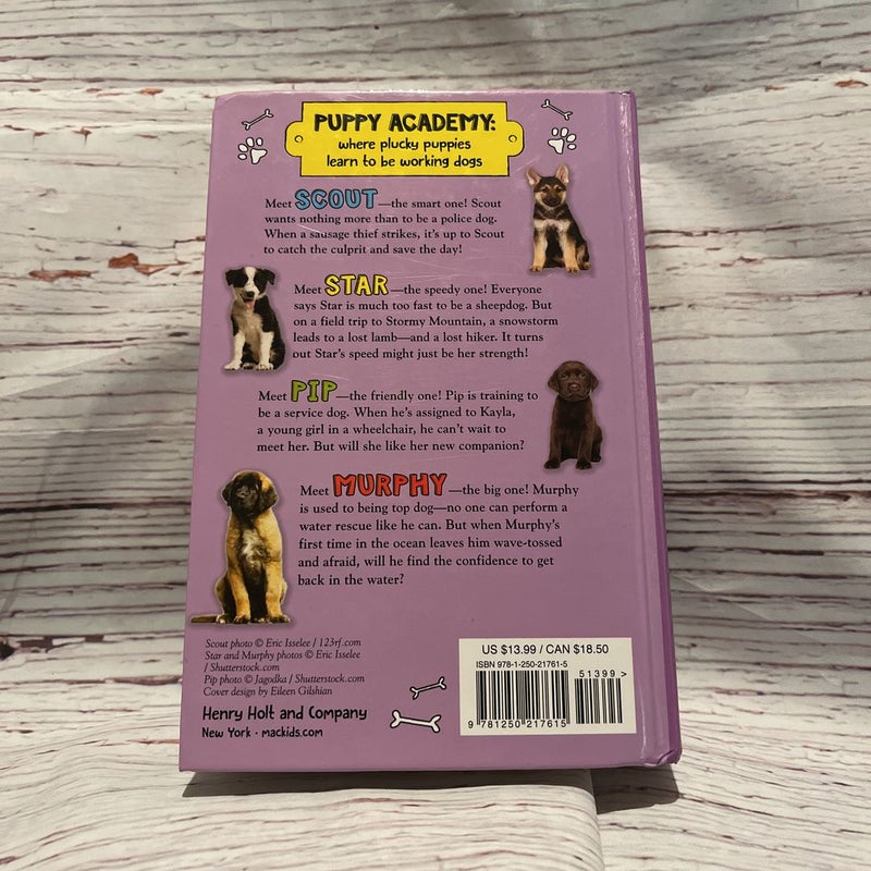 Puppy Academy Bindup Books 1-4: Scout and the Sausage Thief, Star on Stormy Mountain, Pip and the Paw of Friendship, Murphy and the Great Surf Rescue