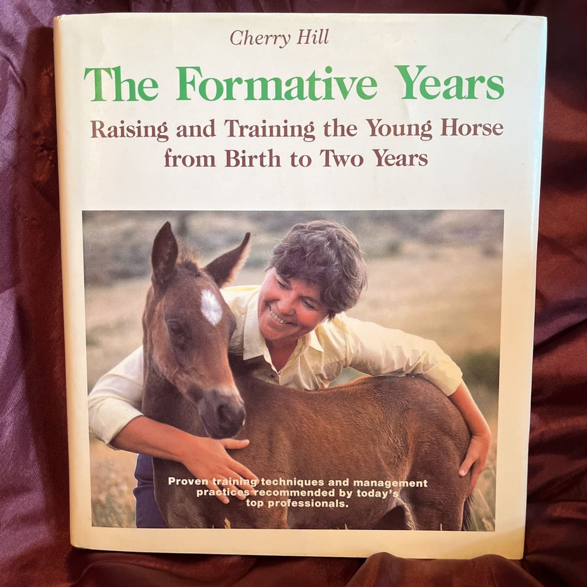 The Formative Years by Cherry Hill