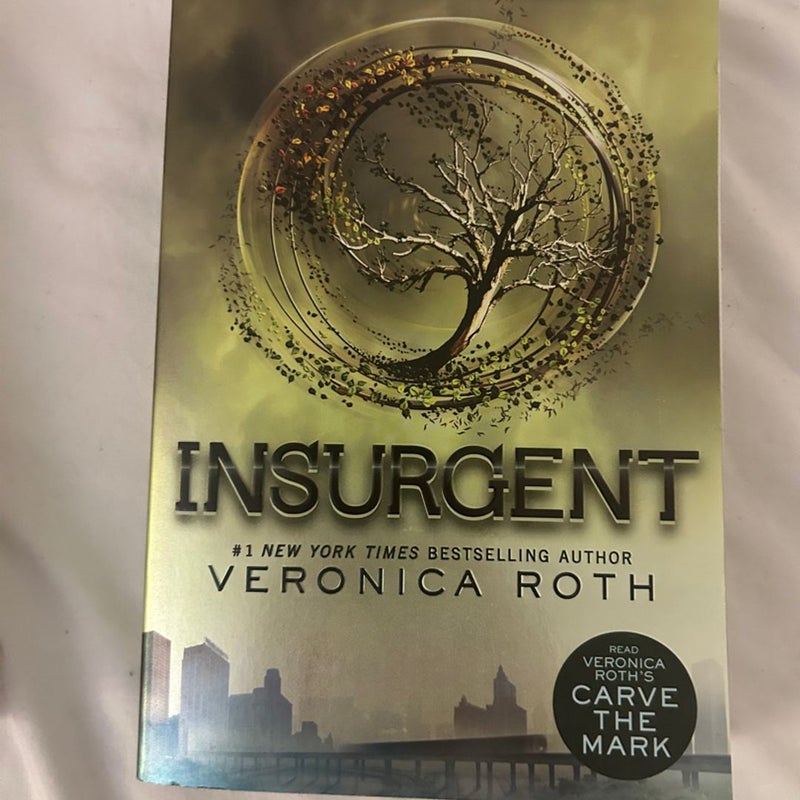 Divergent Series 1-4