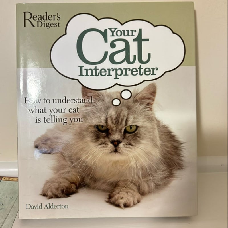 Your Cat Interpreter