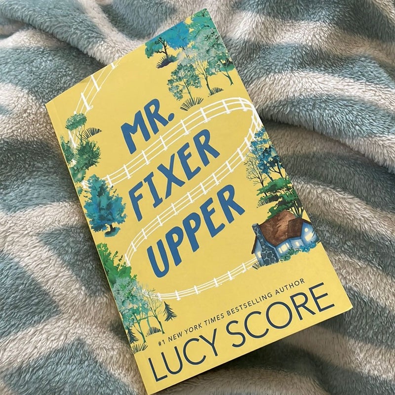 Mr. Fixer Upper