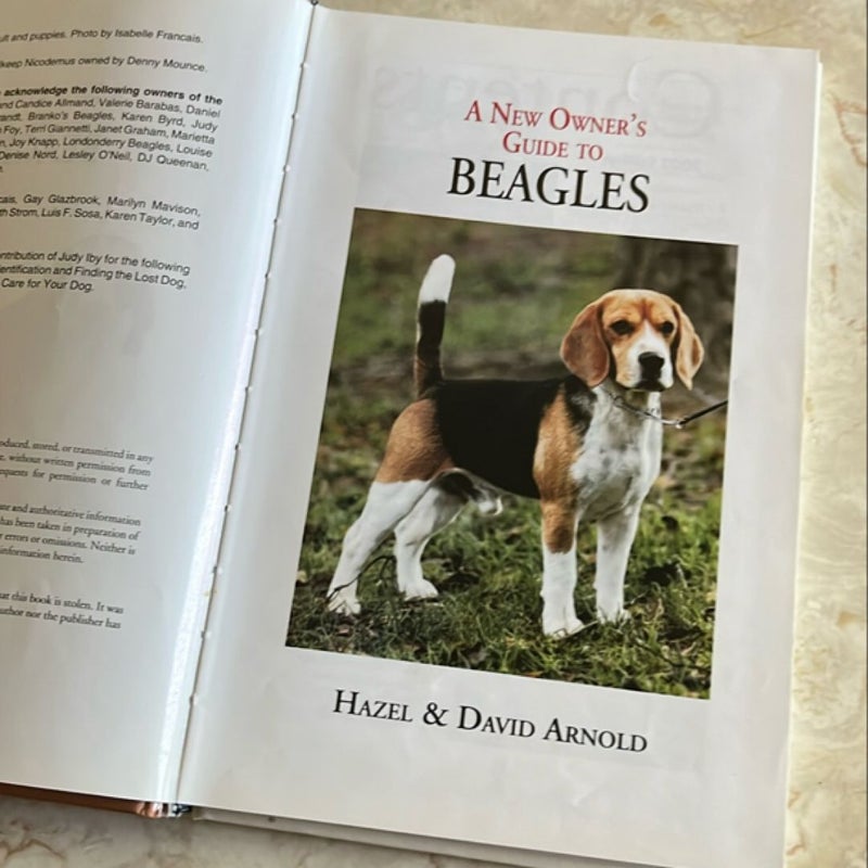 A New Owner's Guide to Beagles