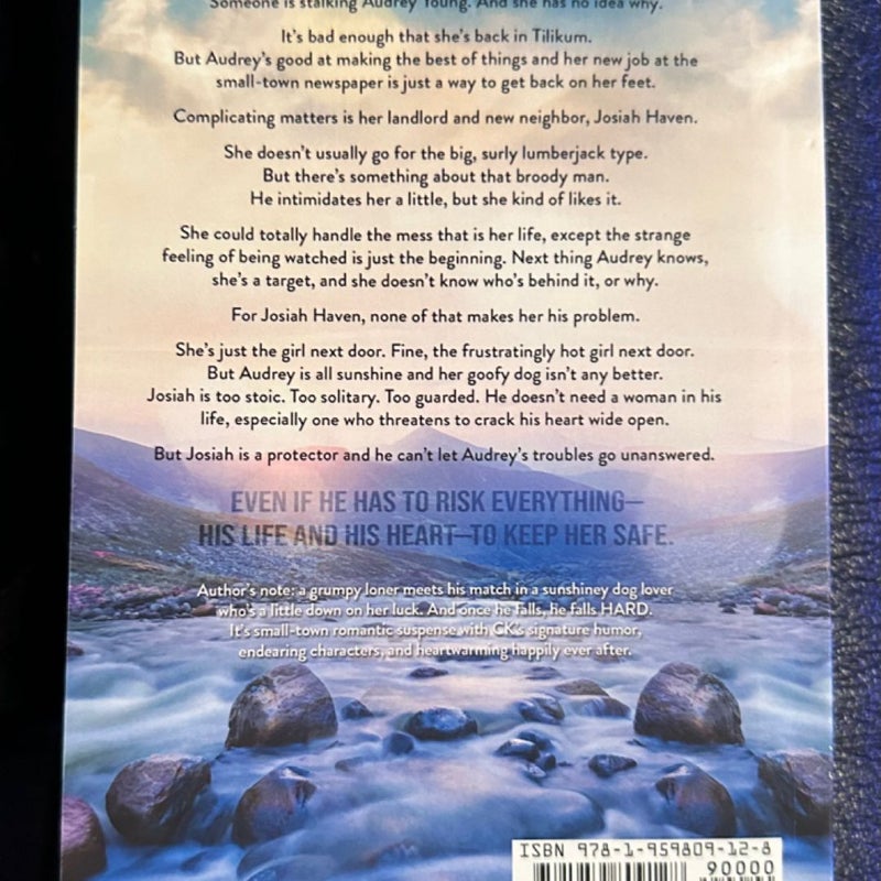 Obsession Falls: A Small-Town Romance