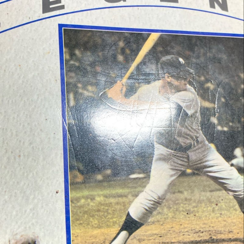 Baseball Legends 85