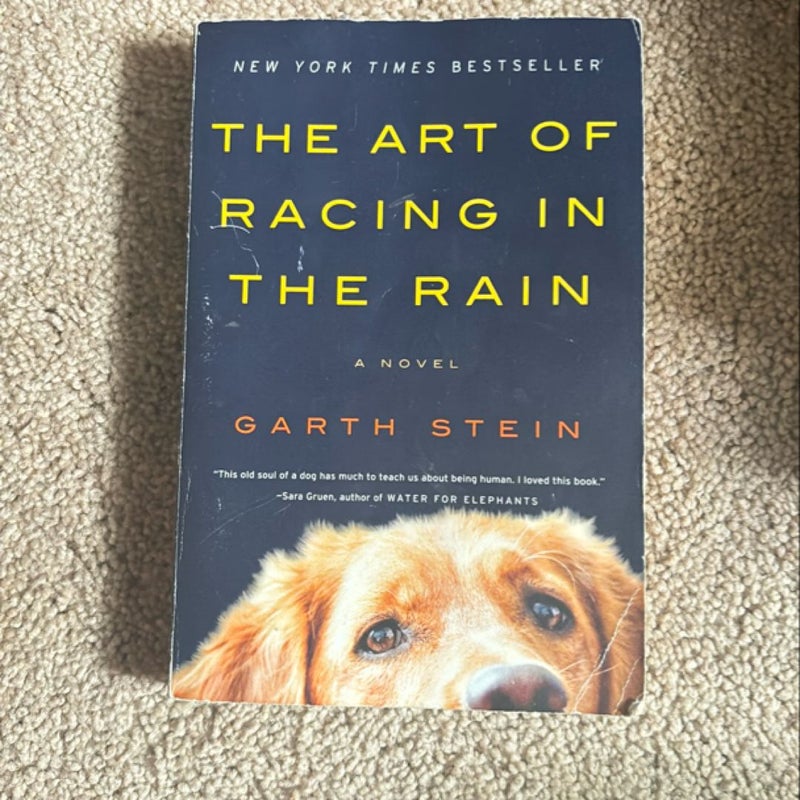 The Art of Racing in the Rain