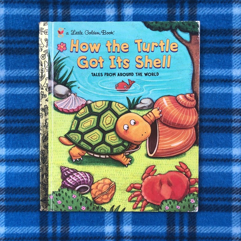 How the Turtle Got Its Shell by Justine Fontes, Hardcover | Pangobooks