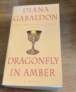 Dragonfly in Amber