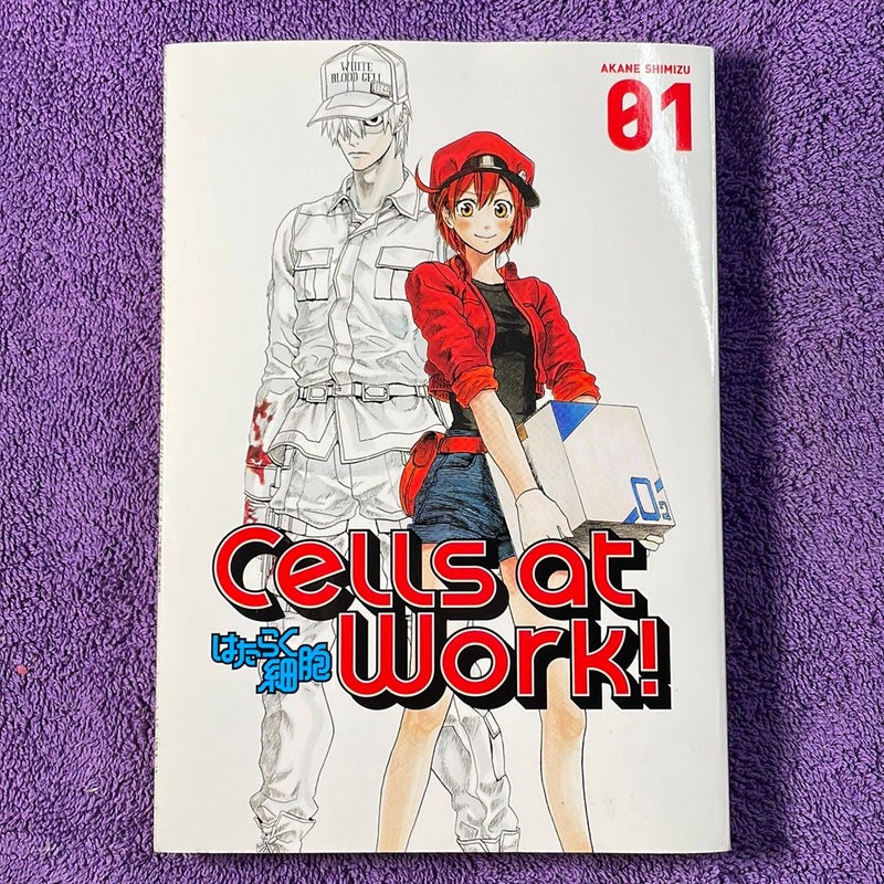 Cells at Work! 1